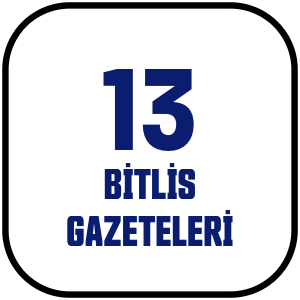 Bitlis Gazeteleri