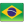Brezilya Flag