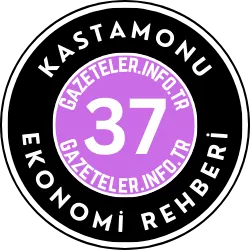 Kastamonu Ekonomi Rehberi Görseli