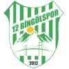 12 Bingöl Spor logosu