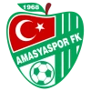 Amasyaspor FK logosu