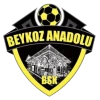Beykoz Anadolu Spor A.Ş. logosu