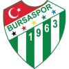 Bursaspor logosu