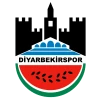 Diyarbekir Spor A.Ş. logosu