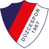 Düzcespor logosu