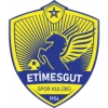 Etimesgut Spor Kulübü logosu