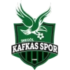 İnegöl Kafkas Spor Kulübü logosu