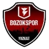 Yozgat Belediyesi Bozok Spor logosu