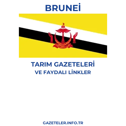 Brunei Tarım Gazeteleri - Popüler gazetelerin kapakları